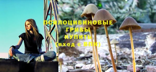 трава Зеленокумск